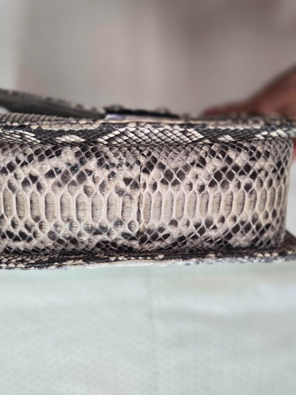 Python Handbag - Picture 5 of 10
